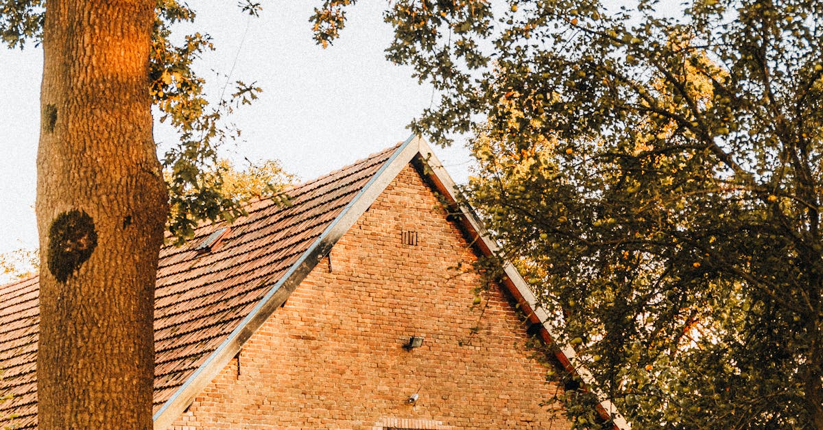 How much is a roof inspection in Arizona?